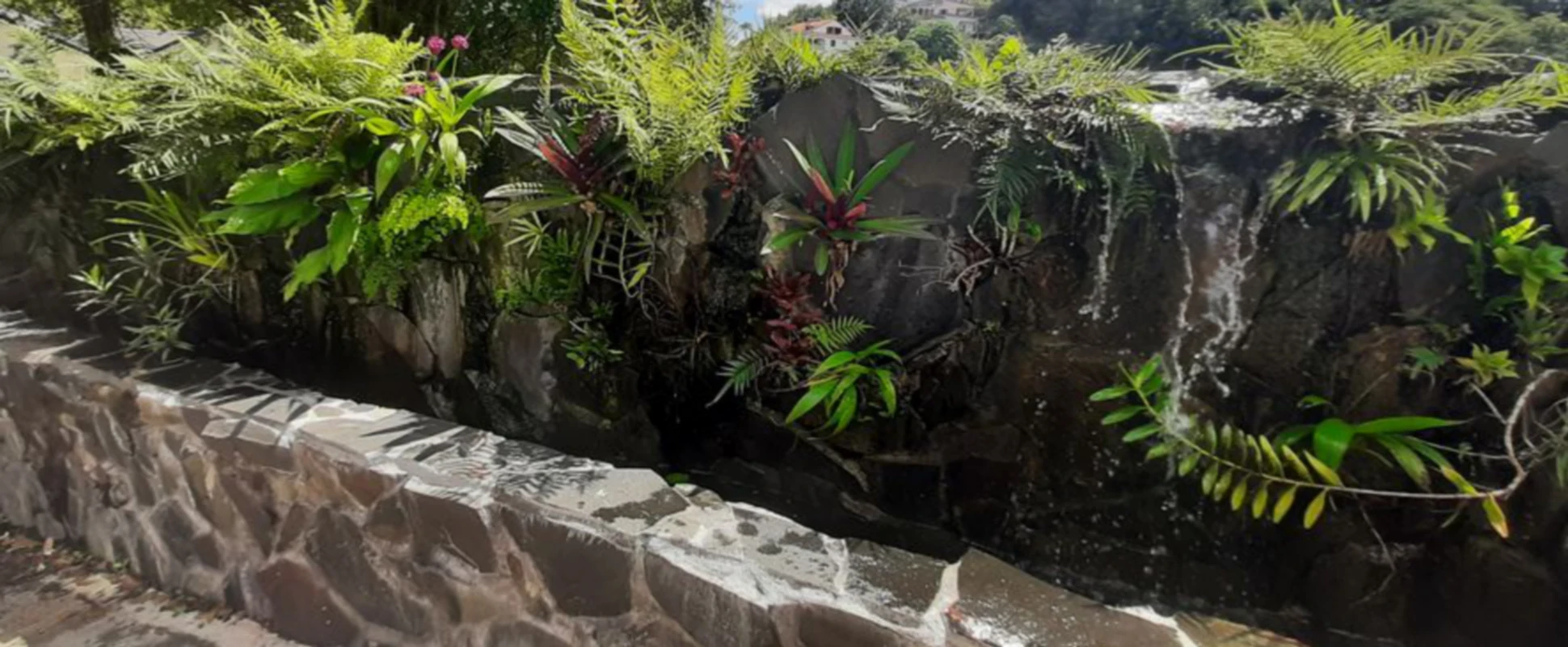 Realisation de murs d'eau Guadeloupe