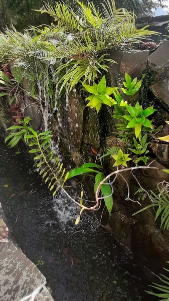 Realisation de murs d'eau Guadeloupe